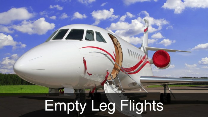 Flights leg
